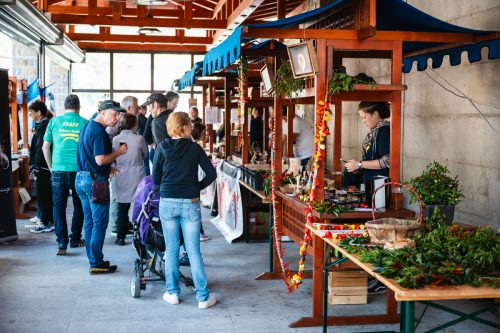 Kanauska Čilijada 2024